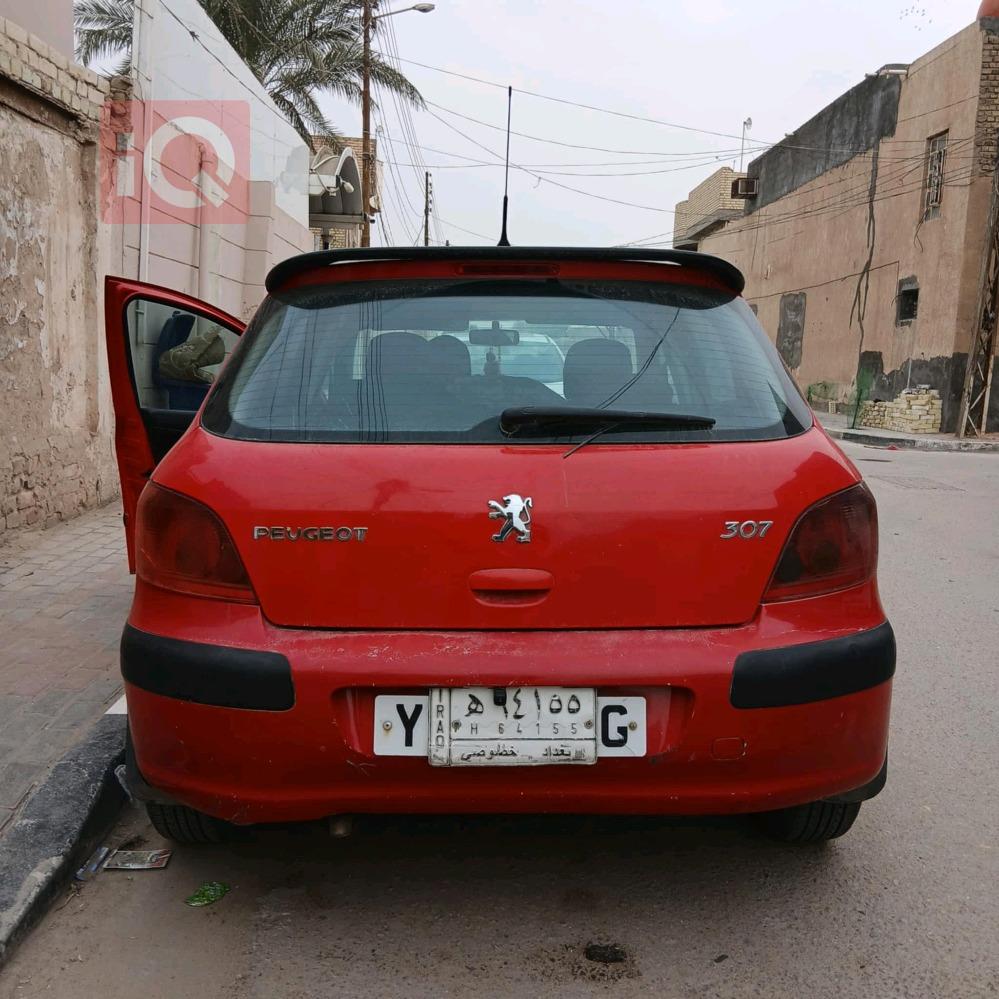 بیجۆ 307